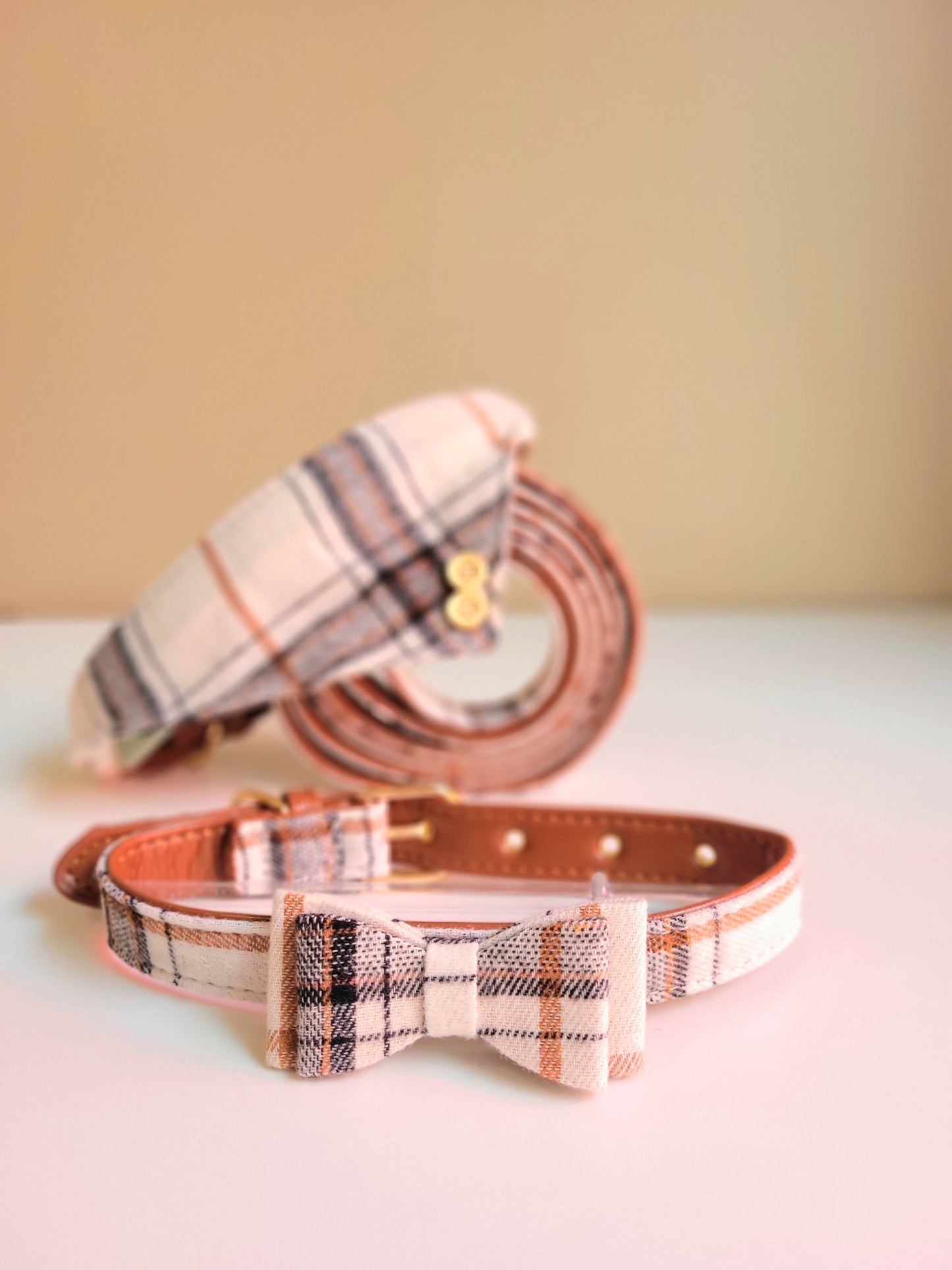 White Bow/Bandana Collar & Leash Set