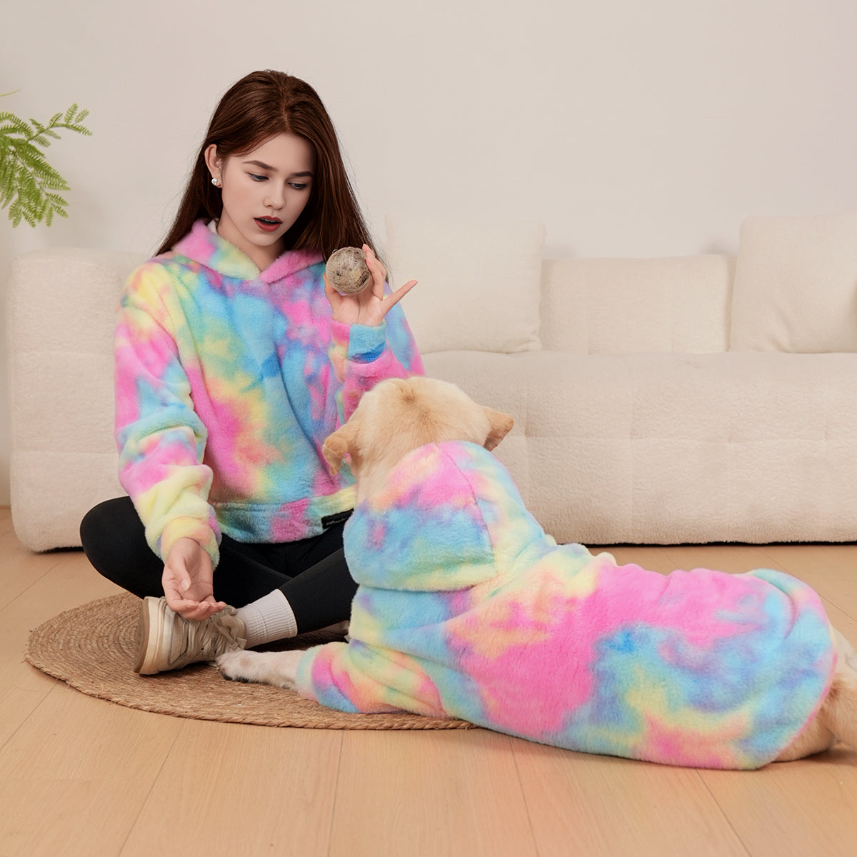 Rainbow Rover Dog Hoodie