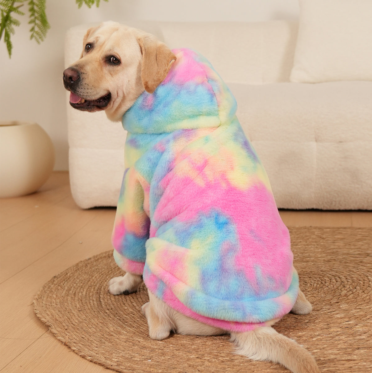 Rainbow Rover Dog Hoodie