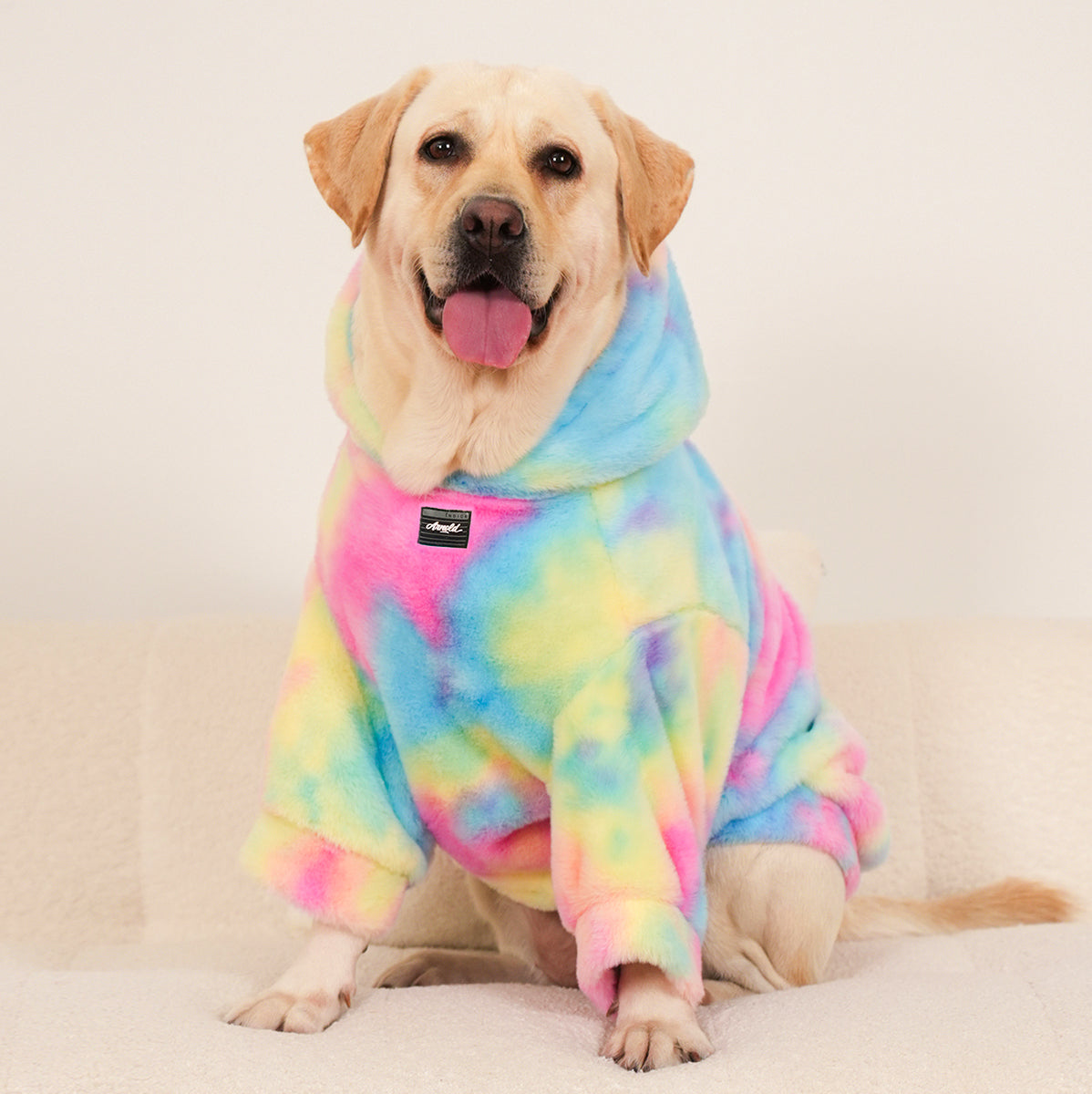 Rainbow Rover Dog Hoodie