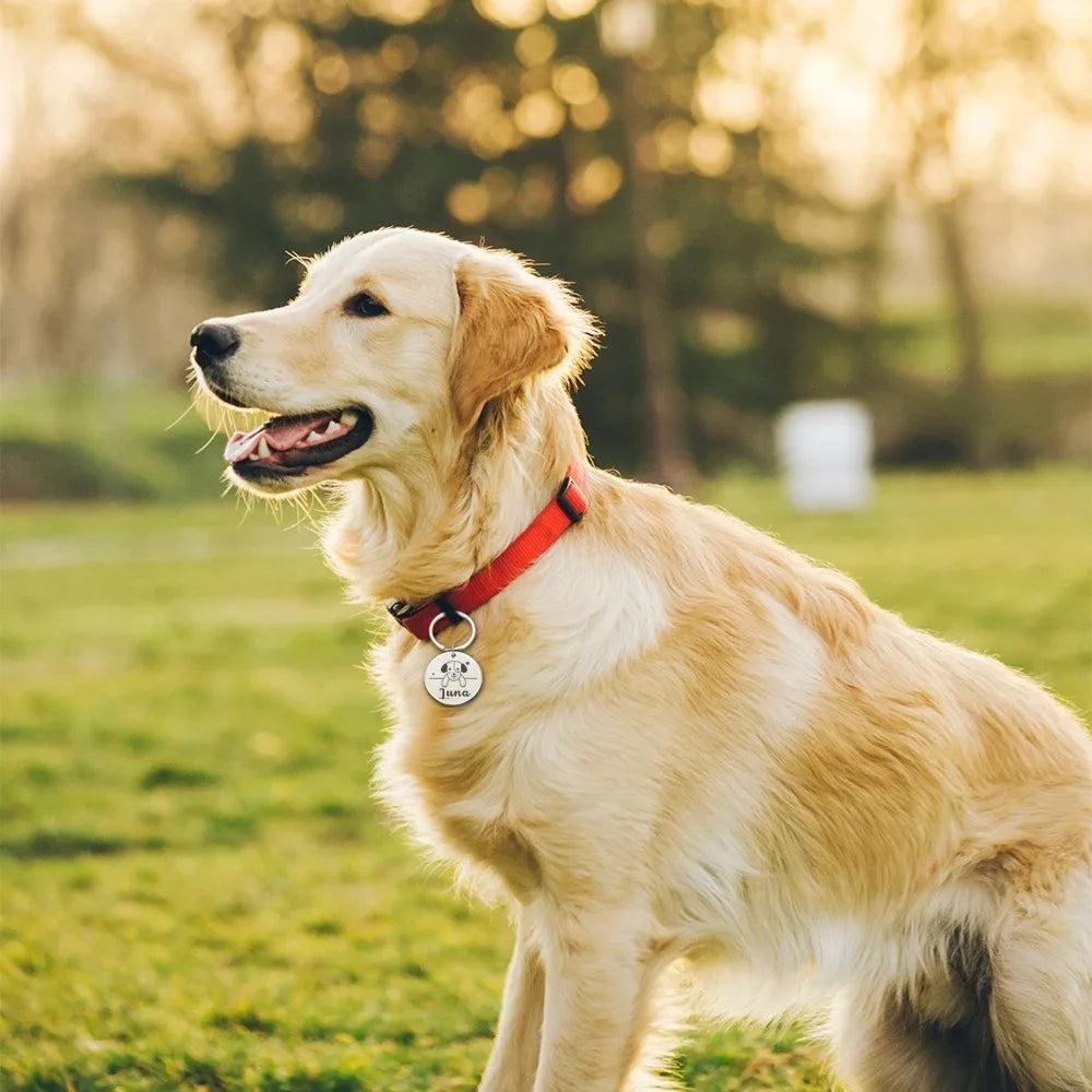 Custom Printing - Personalized Protection & Style for Your Pup!