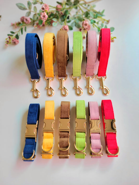 Velvet Collar & Leash Set