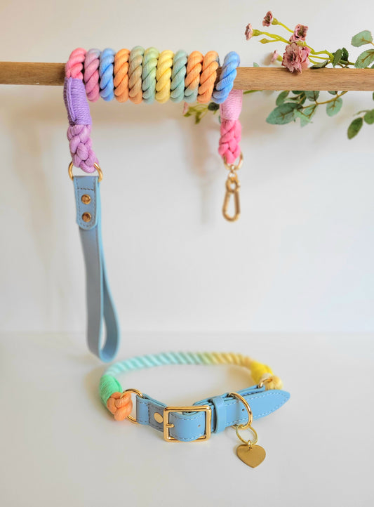 Rope Leather Collar & Leash Set