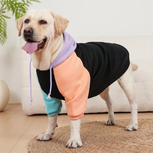 Cosmic Canine Dog Hoodie