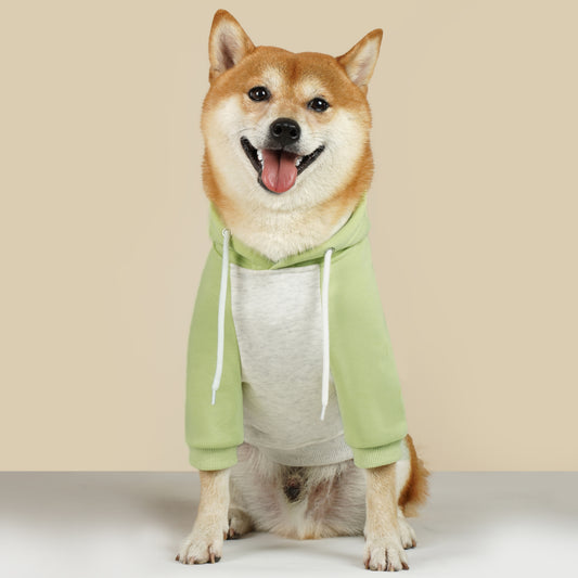 Mint Mocha Dog Hoodie
